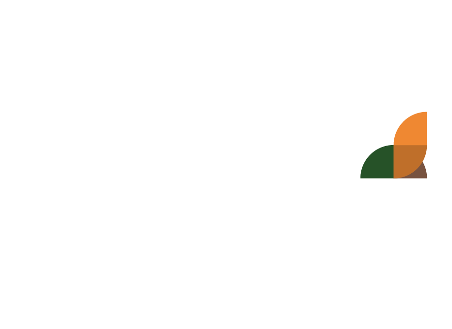 Holy Belly restaurant Bangkok